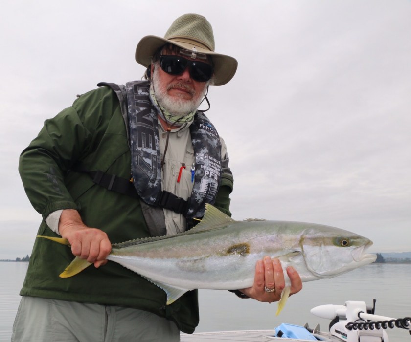 Kingfish, ray rider, tag, salt water fly, tauranga, bay of plenty, new zealand