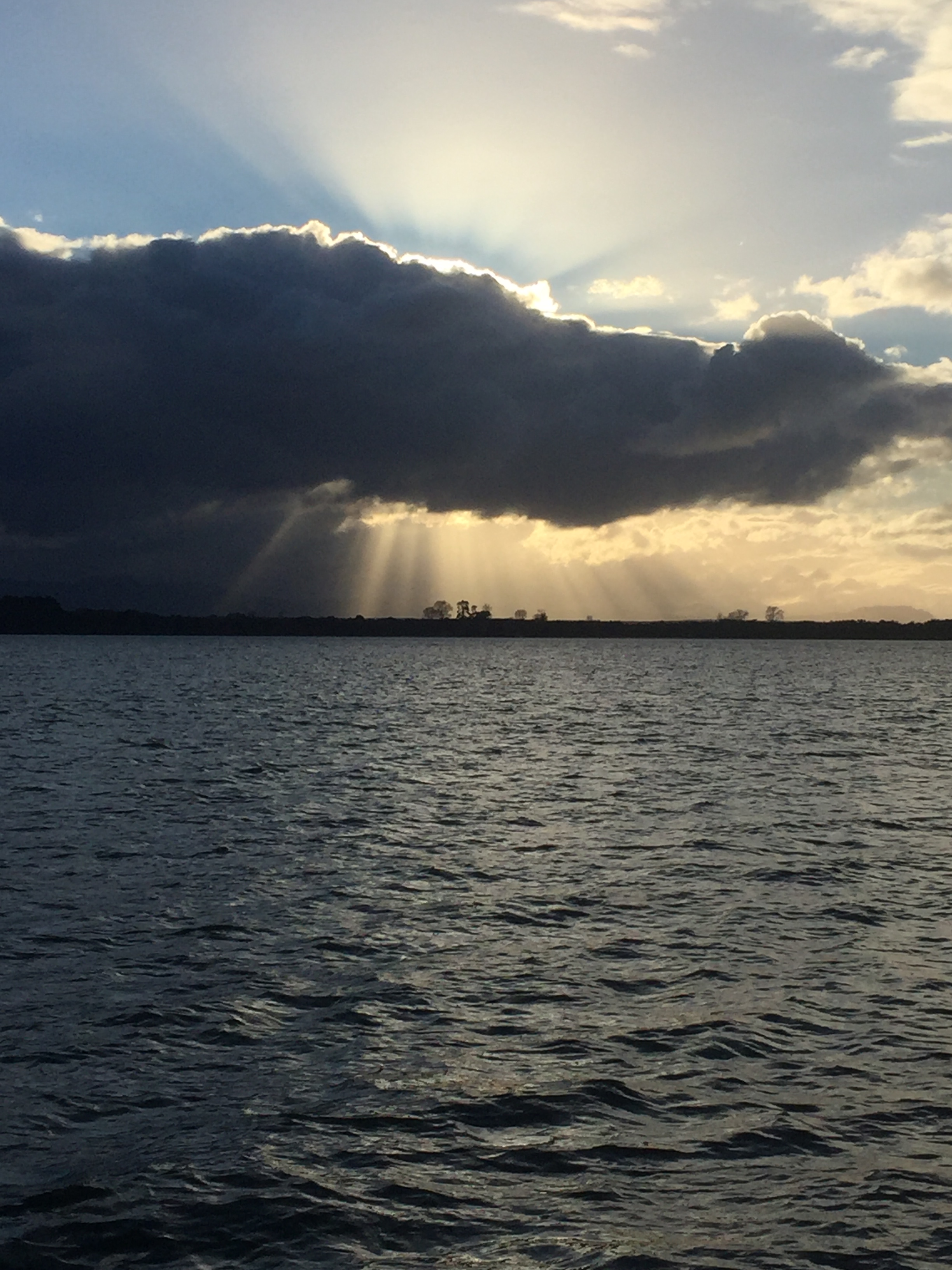 tauranga harbour, bay of plenty, new zealand, flats, salt water fly fishing guide