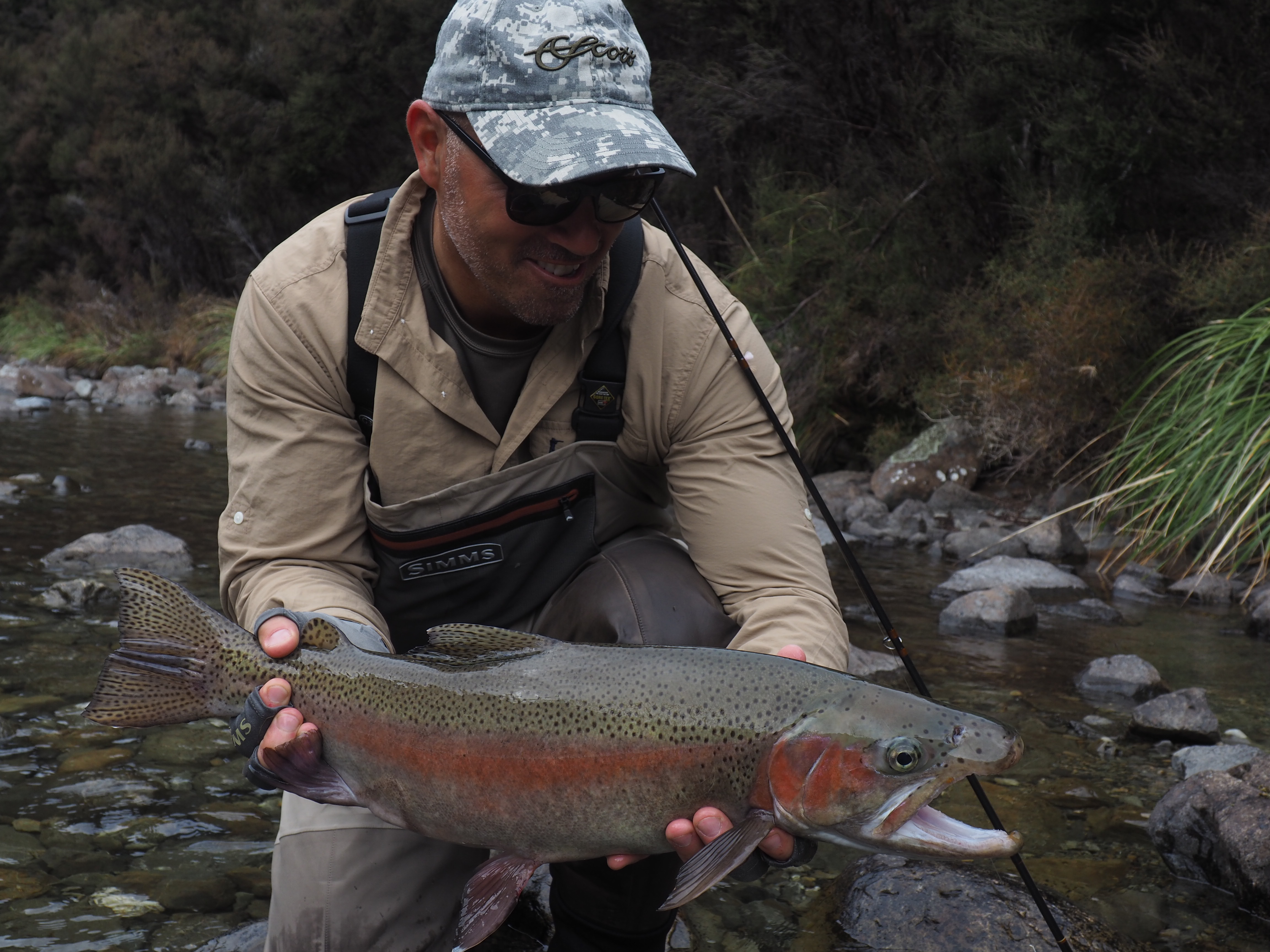 OLYMPUS DIGITAL CAMERA