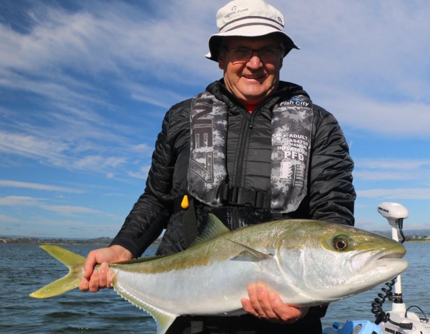 flats kingfish, tauranga, bay of plenty, guide, new zealand