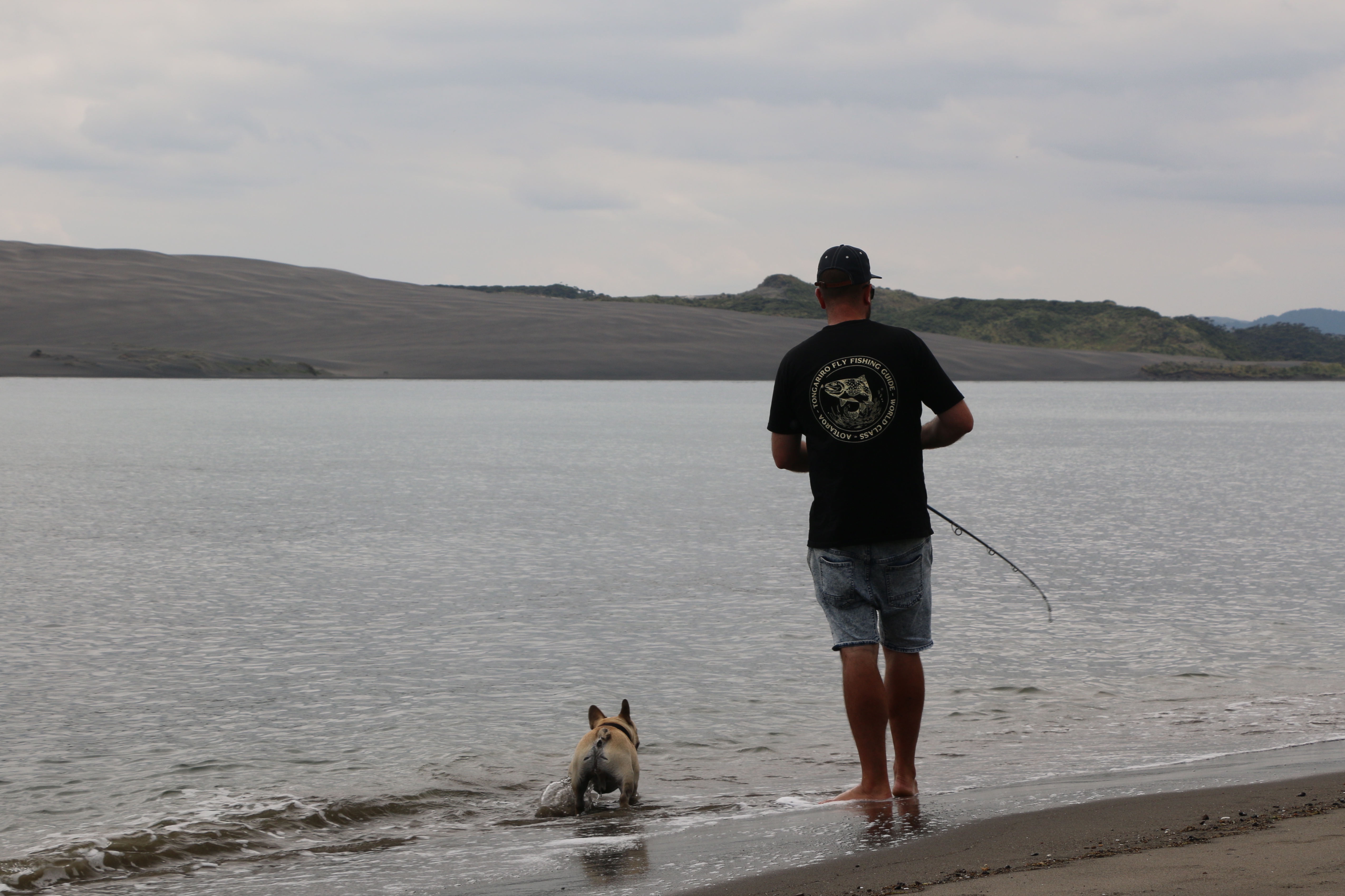 stick bait, kingfish, yellowtail, fishing, harbour, new zealand
