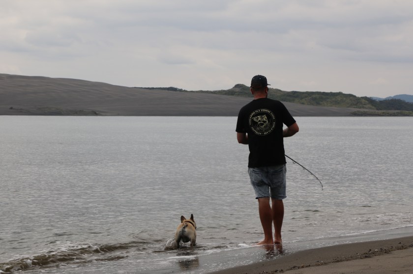 stick bait, kingfish, yellowtail, fishing, harbour, new zealand