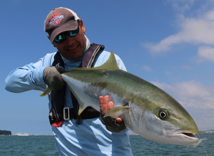 Kingfish in New Zealand, Fly Fishing the Tasmania Salt and More in the New  Issue of IN THE SALT – The Venturing Angler