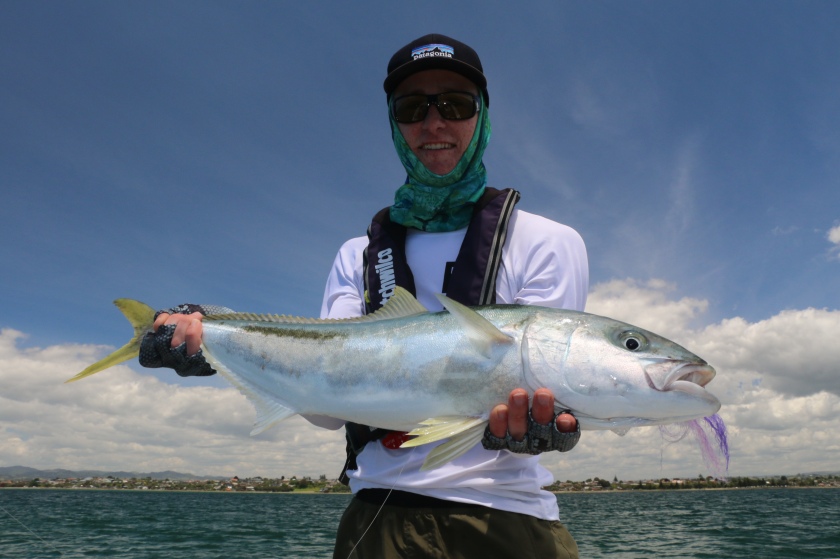 tauranga – Saltwater Fly Fishing guide. Tauranga, Bay of Plenty