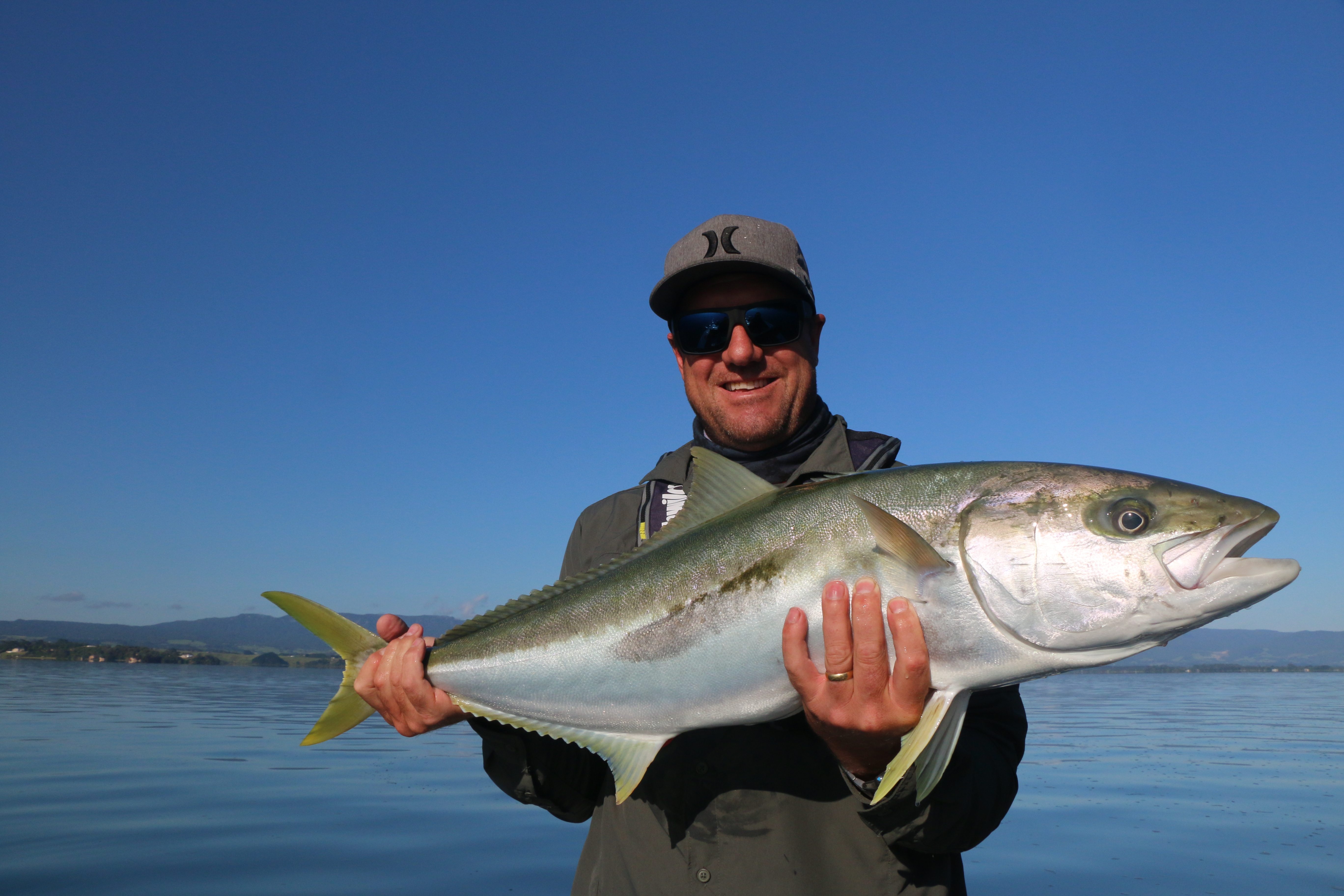 kingfish, new zealand, tauranga harbour, flats, fishing