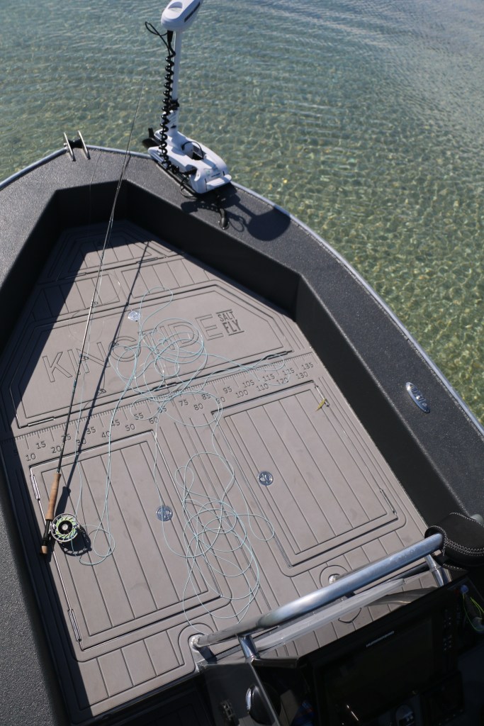 salt water fly fishing, boat, new zealand, fly rod, minn kota, kingfish, snapper, guide, collingwood