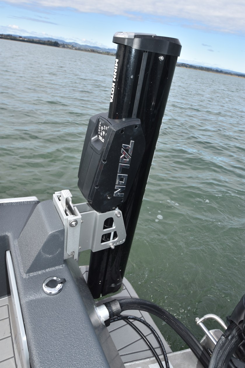 Minn Kota, Talon, one boat network, Humminbird, salt water fly fishing, guide, kingfish, snapper, ray rider