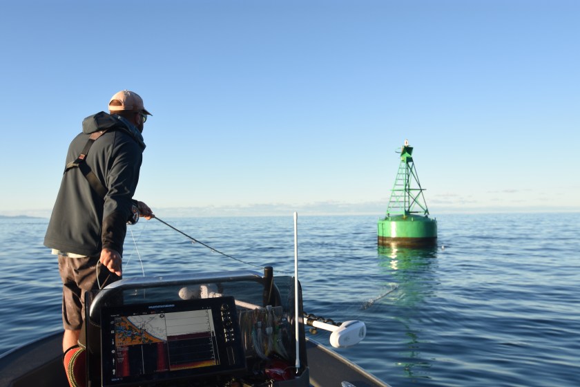 salt fly, casting, popper fly, fishing guide, New Zealand, boat, flats