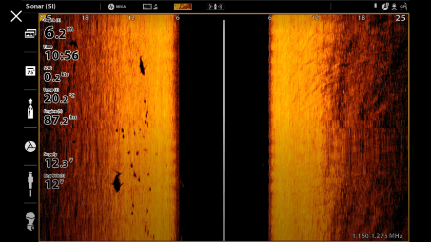 kingfish, sharks, boat, king tide salt fly, humminbird, solix