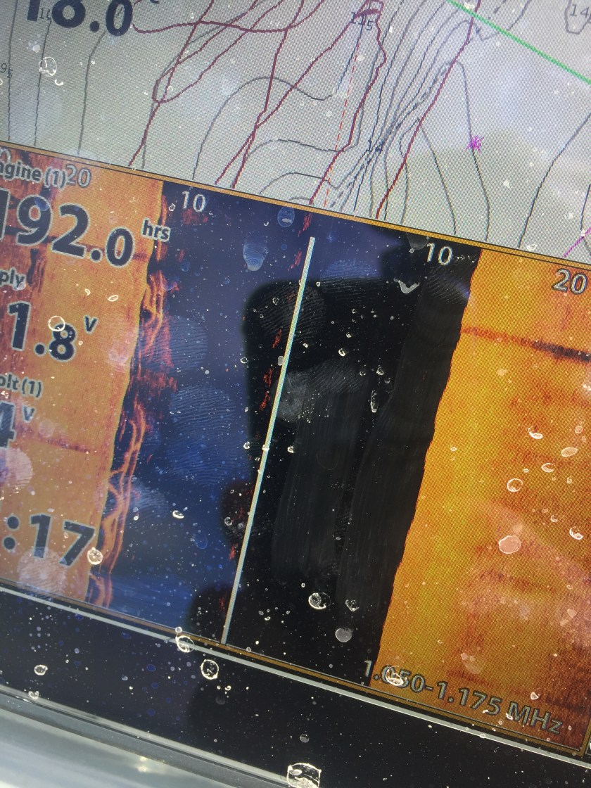 Kingfish sign on Humminbird Solix