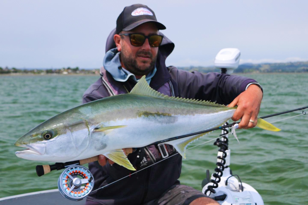 Saltwater Fly Fishing For Kingfish In New Zealand