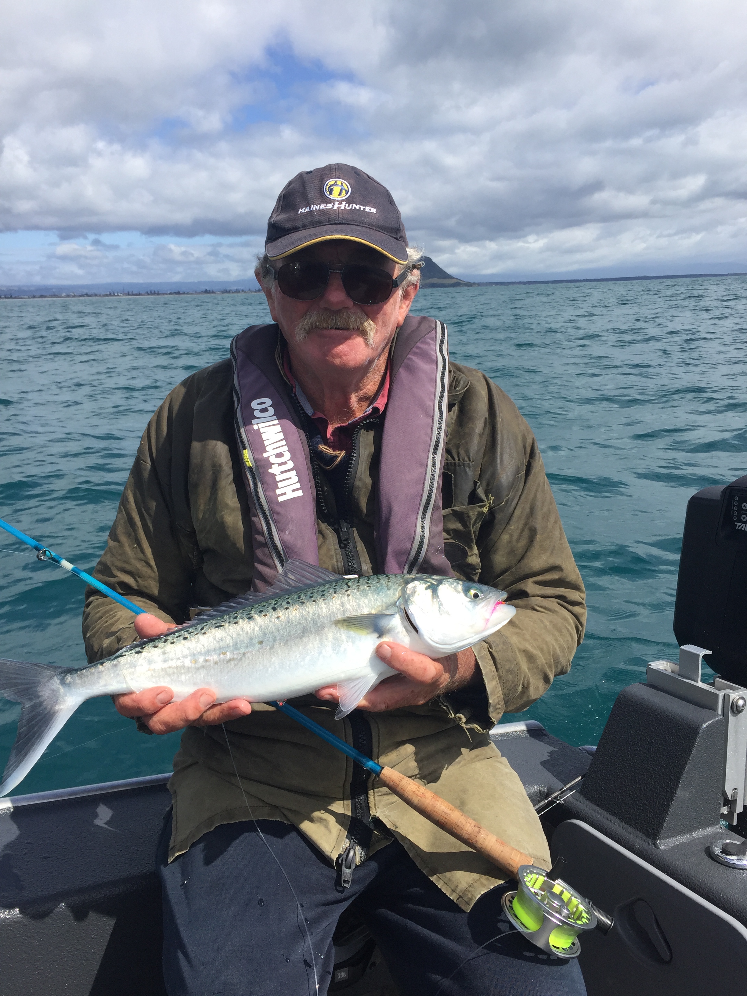 kahawai, fish, kingfish, flats, Saltfly, fly rod, tauranga