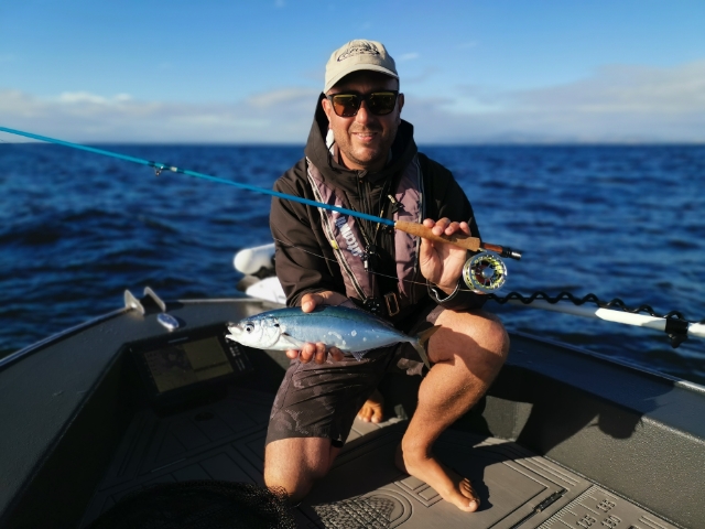 SALTWATER FLY FISHING BLOG – Saltwater Fly Fishing guide. Tauranga